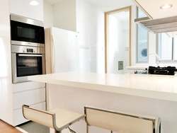 Cairnhill Crest (D9), Condominium #236827021